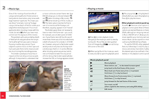 Sample pages from a camera guide written and illustrated for Ammonite Press.