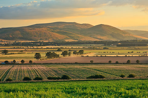 A shot of summer fields with the Cheviot Hills in the background, for Beautiful Britain.