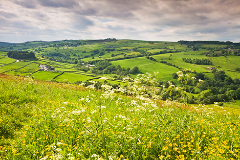 A springtime image of meadows in Brontë Country, West Yorkshire, commissioned by Beautiful Britain magazine.