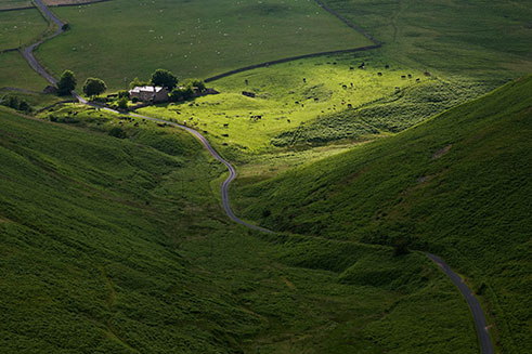 A blend of sun and shadow in the Breamish Valley, Northumberland.