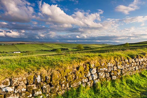 A photograph of Hadrian’s Wall in sunshine, used to illustrate the leaflet for Hands-on-Latin.