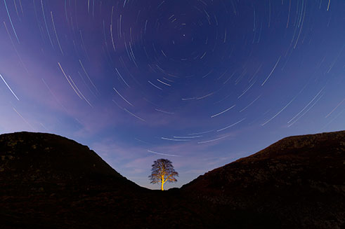A beautiful star-trail image at Sycamore Gap, Northumberland, with the tree torch-lit for effect. 