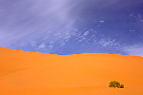 An abstract image of the Sahara Desert in Morocco, under a brilliant blue sky. 